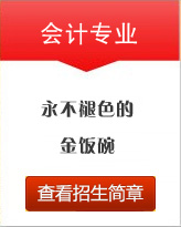 會(huì)計(jì)專(zhuān)業(yè)