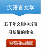 漢語(yǔ)言文學(xué)